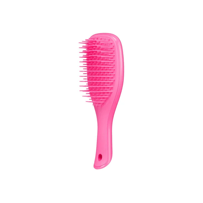 Щетка для волос The Wet Detangler Mini Pink Sherbet Tangle Teezer 1 шт — фото №1