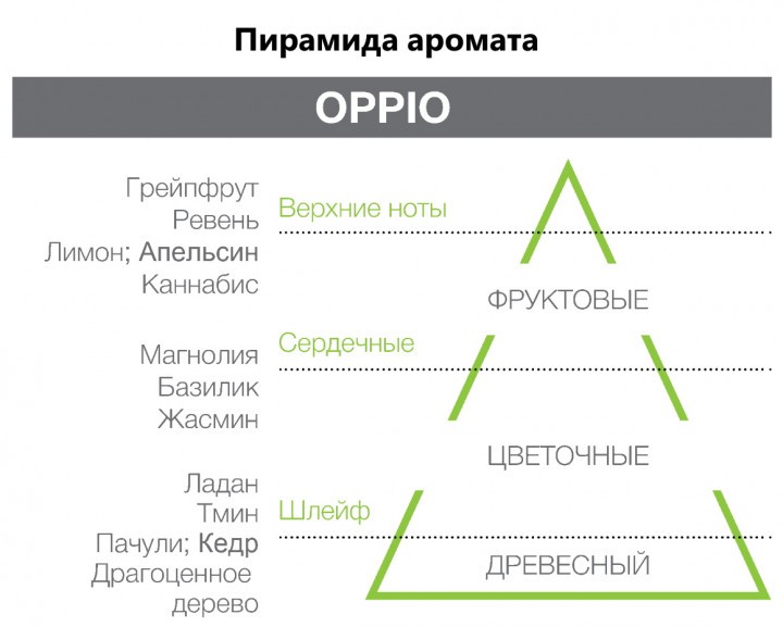 Аромадиффузор Eco Chic Oppio Hypno Casa 100 мл — фото №2